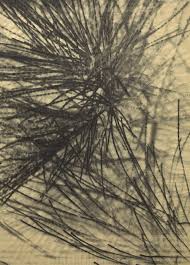 Bildergebnis für Ala D'Amico