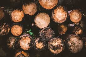 Wood logs are a type of crafting item found commonly on islands , and are not to be confused with hardwood logs. Brown And Beige Wood Logs Free Stock Photo