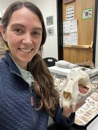 Christy McCain's website