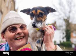 Prison dog hi-res stock photography and images