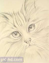 رمزيات بنات محجبات اجمل صور رمزيات بنات كيوت رمزيات كشخه للبنات animal drawings sketches folk art painting animal drawings