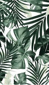 Pin By Farah Najwa Roslan On Walls Leaves Wallpaper Iphone Plant Wallpaper Tropical Wallpaper