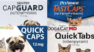 Works from the inside out. Generic Alternatives To Capstar For Dogs And Cats Fleascience