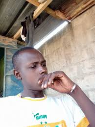 Image result for Baissea