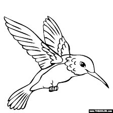 Bird Pictures To Color And Print Hummingbird Coloring Page Color A Humming Bird Hummingbird Drawing Bird Outline Bird Coloring Pages
