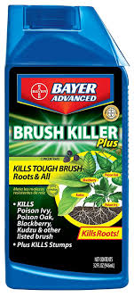 Bioadvanced Fungus Control For Lawns Lowe S Pin On Landscape
