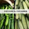 Freezing zucchini is a good option for preserving them longer if you know how to do it. 3