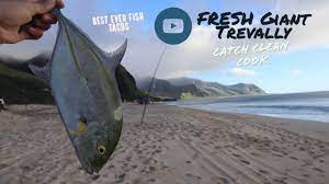 Maybe you would like to learn more about one of these? The Best Bluefin Trevally Papio Fish Tacos Catch Clean Cook First Video Of 2020 Youtube