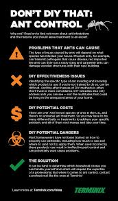 Read and follow the product label for best diy carpenter ants treatment results. Don T Diy That Ant Control Terminix