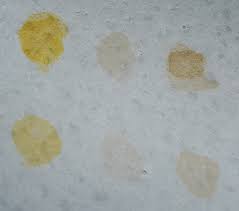 A spot not easily removed. How To Remove Surface Etched Stains From Concrete Countertops