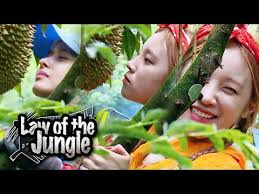 Law of the jungle is a new concept of programming. Download Law Of The Jungle Solomon Island Eng Sub 3gp Mp4 Codedwap