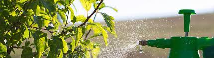 Pesticide applicator training manual order form. Training Materials Exams Pesticide Safety Education Program