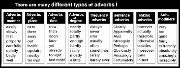 Adverbs In Mid Position Adverbs Grammar Positivity