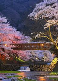 Gox suspended trading, closed its website and exchange service, and filed for bankruptcy protection from creditors. Kyoto Japonia Soo Beautifull Lol Steemit