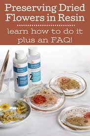 Maybe you would like to learn more about one of these? Dried Flowers In Resin How To Preserve Them Mod Podge Rocks
