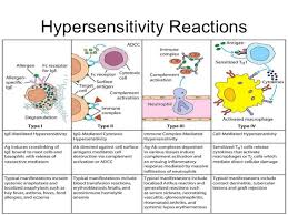 Class Hypersensitivity