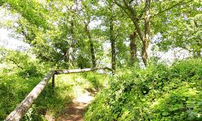 At viroga, we aim to promote wellness by providing massage, spa services, yoga classes, retreats, courses & events that enhance health, harmony & happiness for the body, mind & spirit. Yoga Retreat Palatinate Be Yogi Yoga Mit Beate Laudien In Mainz