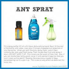 Use it on roses, vegetables, houseplants, ornamentals, trees, shrubs and flowers to kill listed insects on contact. Pin By Karen Cummings On Insect Spray For Plants Essential Oils Ants Essential Oil Recipes Peppermint Essential Oil