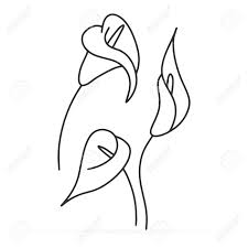 All rights belong to their respective owners. Doodle Calla Lilies Icon Isolated On White Sketch Flower Coloring Royalty Free Cliparts Vectors And Stock Illustration Image 147838080