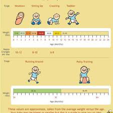 24 Baby Weight Charts Template Lab