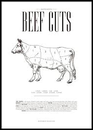 beef chart poster