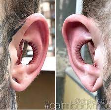 Modification of the torso focuses on the neck, trunk, and breasts. 160 Body Modification Ideas Body Modifications Body Mods Body