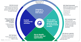 Maybe you would like to learn more about one of these? Infographic An Introduction To Msci Esg Indexes