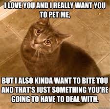 I Love You And I Really Want You To Pet Me But I Also Kinda Want To Bite You And That S Just Something You Re Going To Have To Deal With Biting