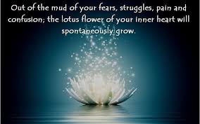 The Story Of The Lotus Flower Quotes Google Search Lotus Flower Quote Lotus Quote Flower Quotes