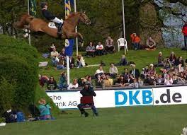 Check spelling or type a new query. Good Heavens Most Horses Wouldn T Go Down This Steep Of A Bank The Few Brave Bold Ones Will Bound Slide Down I Funny Horses Horse Jumping Beautiful Horses