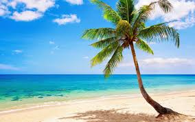Related Image Strand Wallpaper Sommer Hintergrundbild Tropische Strande Sommer hintergrund hintergrund strand meer sonne. wallpaper sommer hintergrundbild