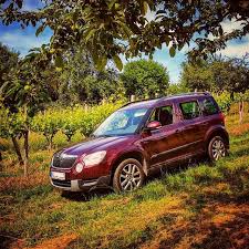 Da Fuhlt Sich Der Kleine Yeti Wohl Skoda Yeti Skodayeti Offroad Wein Vine Vino Weinberg Wengert Vineyard