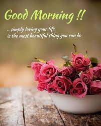 Best quote, greeting and wishes available online. New 2019 Good Morning Hd Images Photos Wallpaper Pics Download For Free Myinfomaniya Com Good Morning Images Morning Flowers Good Morning Roses