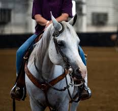 📸Scenes from yesterday's clinic with Jim Hitt and Wes Larkin. Thank you to  our clinic sponsor, Hiser Farms! Classes for Ranch Horse Championships  begin today and will feature Ranch Rail Pleasure, Ranch