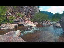 Zona de protección forestal y refugio de fauna categoría uicn: Aguas Termales Rio Caliente En El Bosque De La Primavera Episodio 18 Youtube