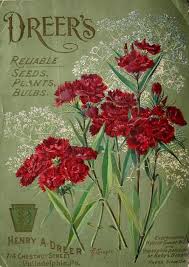 Vintage Flower Vintage Flowers Vintage Seed Packets Flower Seeds Packets