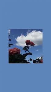 Wallpaper Laptop Spring 16 Ideas Iphone Wallpaper Vintage Aesthetic Pastel Wallpaper Aesthetic Wallpapers