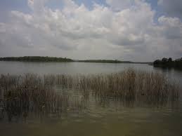 View all the engoo materials and lessons, grouped by categories and courses. Sultan Iskandar Reservoir Wikipedia