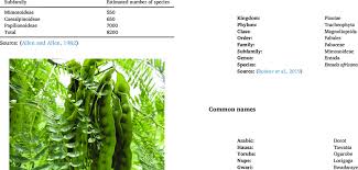 Image result for Fabaceae subfamily Mimosoideae