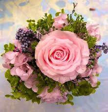We did not find results for: Petal Eon Petaleonfloral Twitter