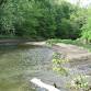 Rooted in Nature Club: Creek Stomp