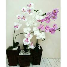 Jual bunga hias bunga hiasan meja bunga acrylic kab bunga hias meja tamu ruang tamu sering sekali menjadi panutan untuk sebuah rumah untuk itu simulasi bunga anggrek kupu kupu meja ruang tamu set buah sumber : Bunga Anggrek Bulan Artificial Vas Bunga Kayu Shopee Indonesia