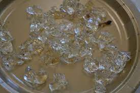 Maybe you would like to learn more about one of these? Clear Jelly Fungus 252669 Ask Extension