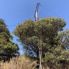 Walk down the hill to santa susanna pass road, then. Spahn S Movie Ranch 28 Photos Tours 1200 Santa Susana Pass Rd Topanga Ca