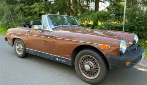 Image result for Russet 1978 MG