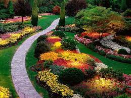 Pin On Gardening Idea