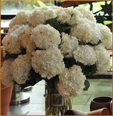 We can generate these telephone numbers because according to the north american numbering plan, ohio has some fixed area codes such as 216785, therefore, we only need some numbers together into a legitimate phone number. Fresh Flowers Delivery To Dayton Cincinnati Columbus Indianapolis And Louisville