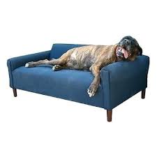 awesome extra large dog couch fresh extra large dog couch 13 for your modern sofa inspiration with extra large dog couch http dog couch pet sofa dog sofa