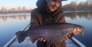 07 januari 201108 januari 2011 daniel demeterisfiske, regnbågsfiske. Fiska I Rogle Dammar Skrylle