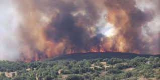 Incêndio no algarve obrigou ao confinamento da povoação de águas velhas. Incendios Sul Informacao